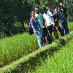 Trek to Kodachadri with Kayaking 1N/2D ( 1N Kodachari )